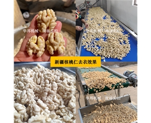 新疆核桃仁去皮機 任意品種核桃仁去皮設(shè)備 華邦堅果仁去皮機